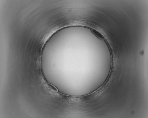 X0000111381097200907241304