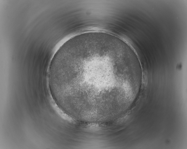 X0000111381098200907241304