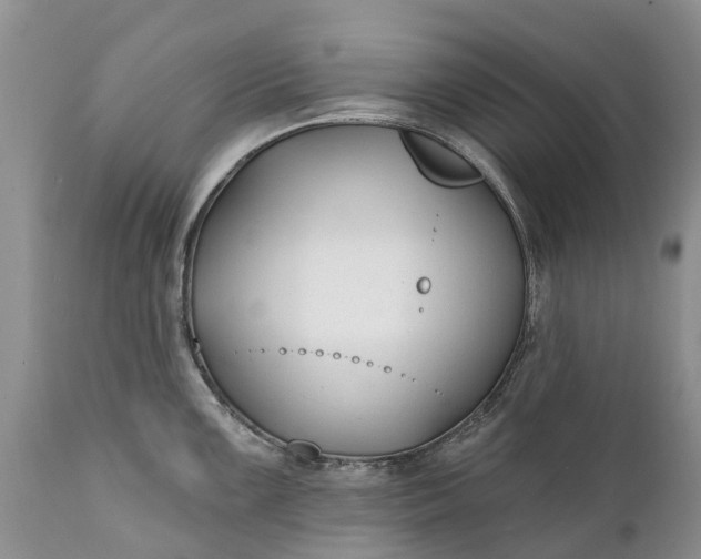 X0000111381099200907241304