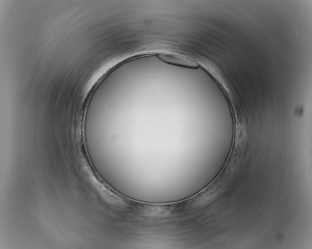 X0000111381101200907241304