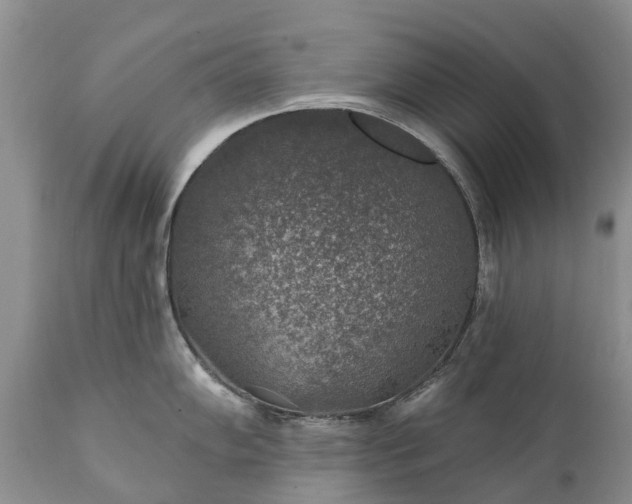 X0000111381102200907241304