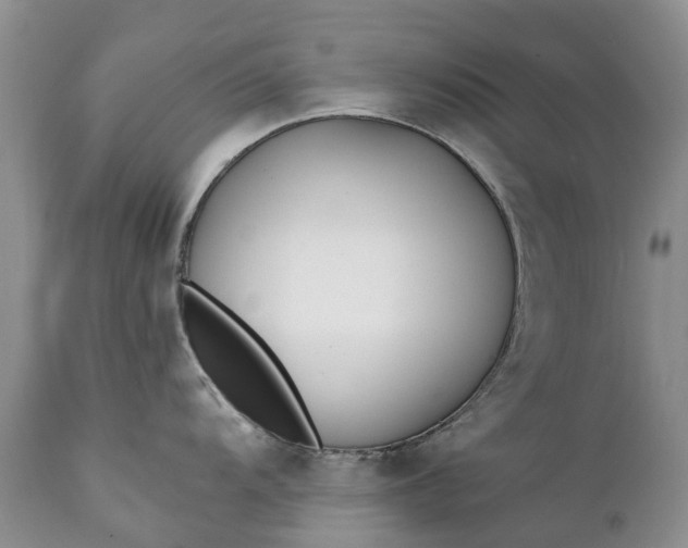 X0000111381104200907241304