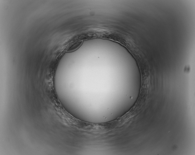 X0000111381109200907241303