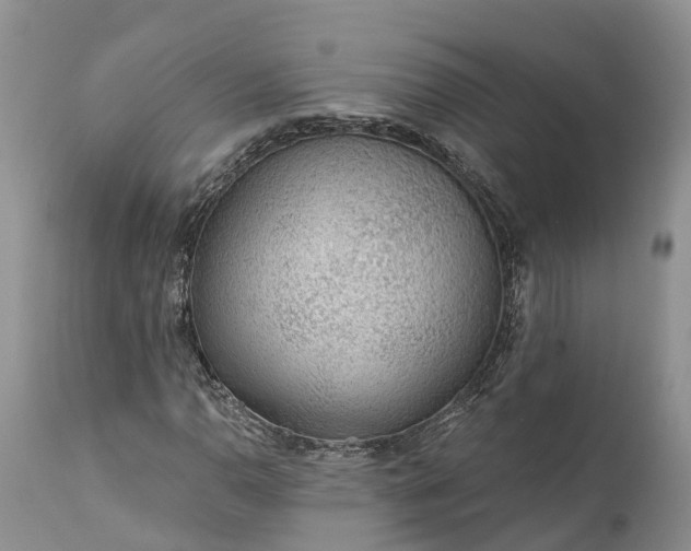 X0000111381110200907241303