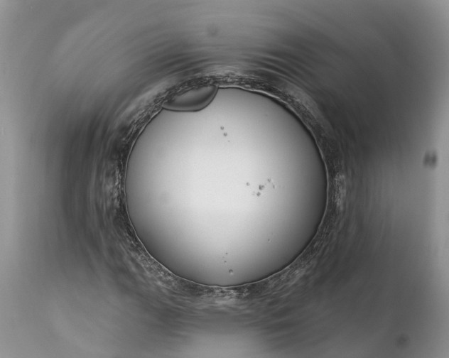 X0000111381111200907241303