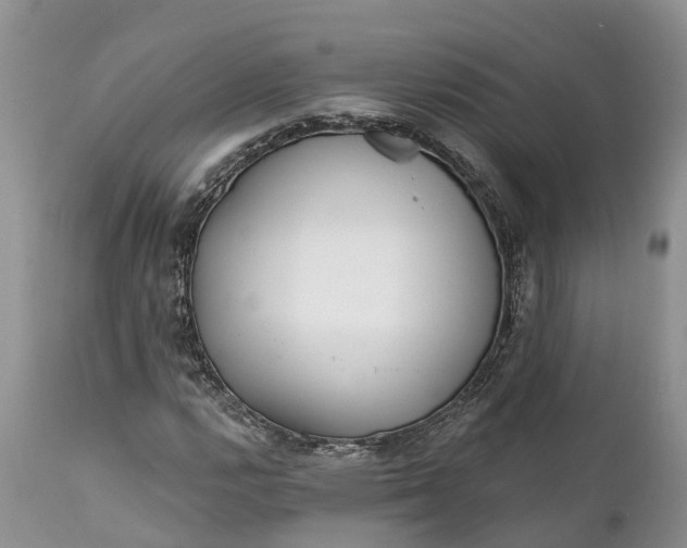 X0000111381112200907241303