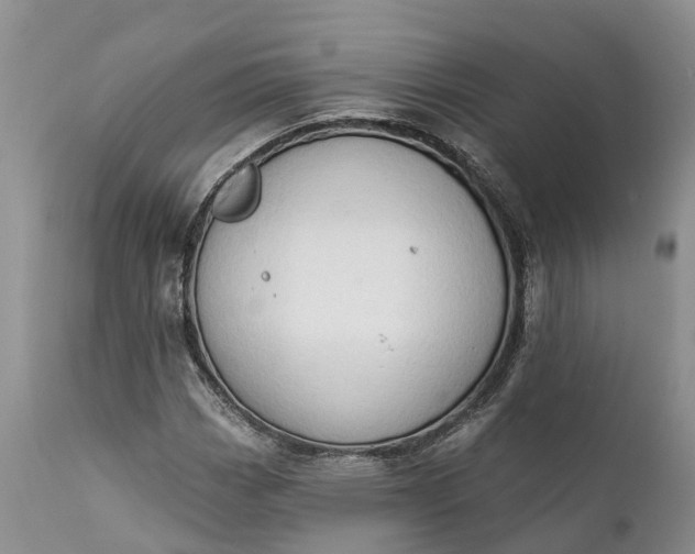 X0000111381113200907241303