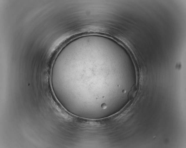 X0000111381115200907241303