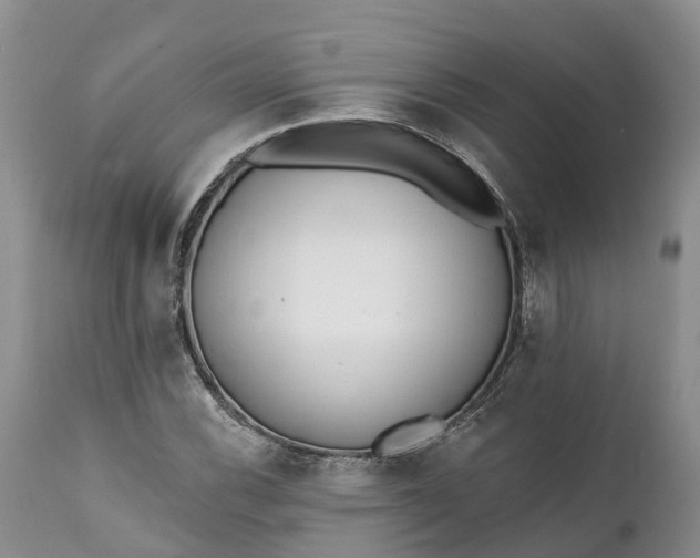 X0000111381116200907241303