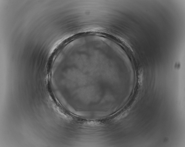 X0000111381117200907241303