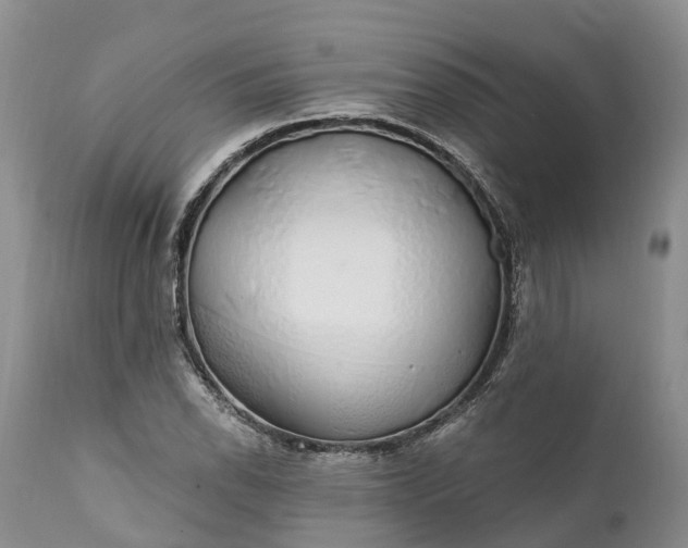 X0000111381118200907241303