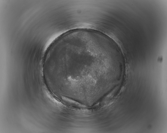 X0000111381120200907241303