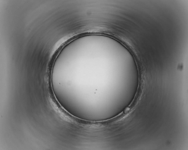 X0000111381122200907241303