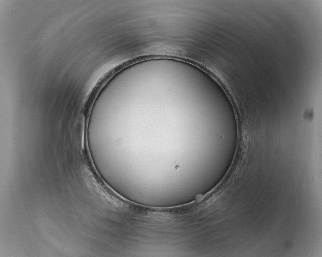 X0000111381123200907241303