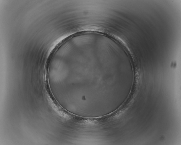 X0000111381125200907241303