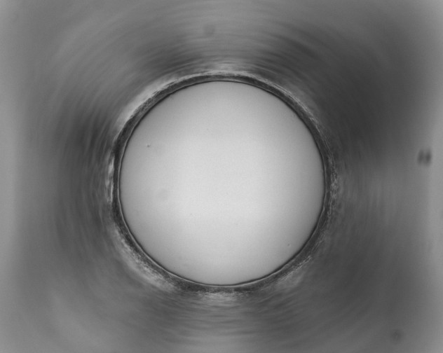 X0000111381126200907241303