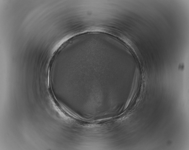 X0000111381127200907241303