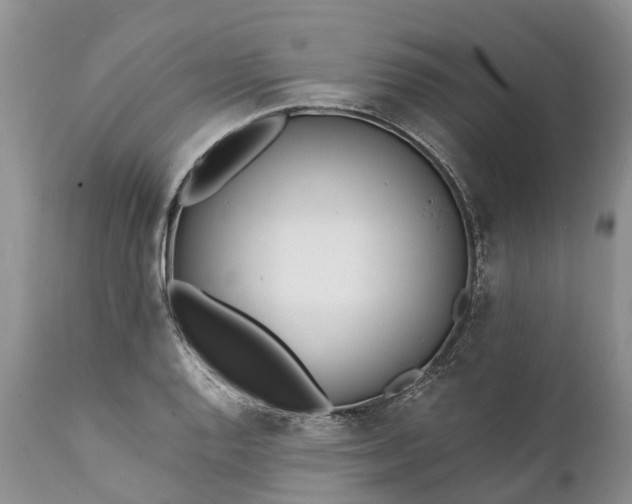 X0000111381128200907241303