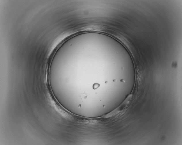 X0000111381131200907241303