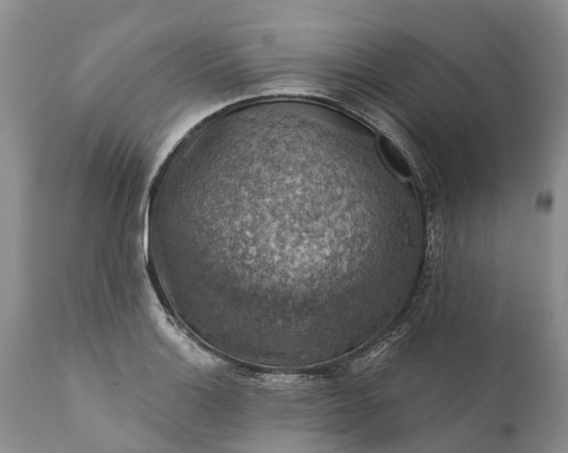 X0000111381132200907241303