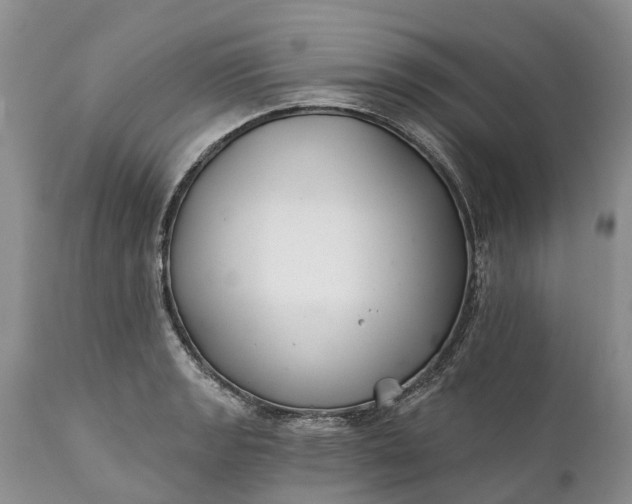 X0000111381133200907241303