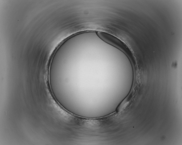 X0000111381136200907241303