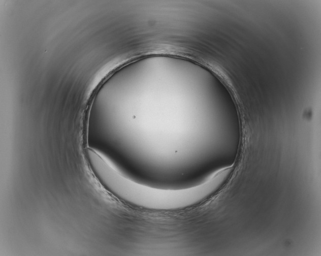 X0000111381138200907241303