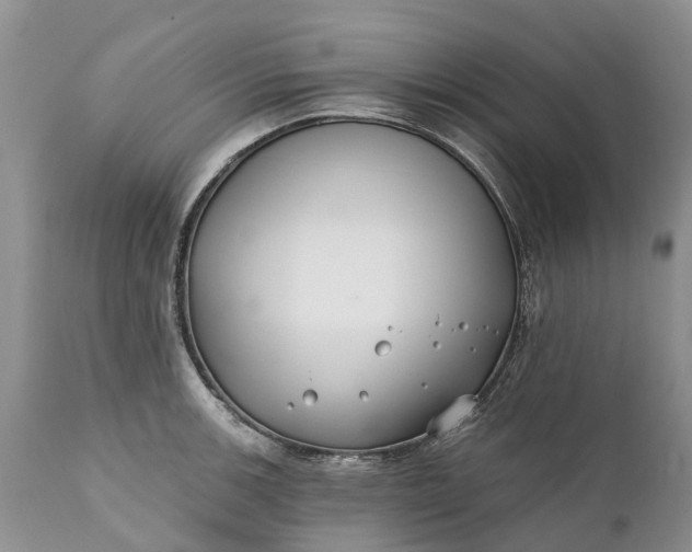 X0000111381139200907241303