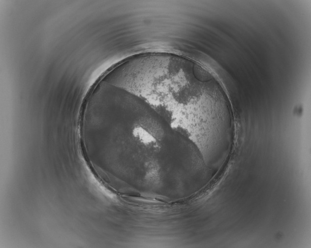 X0000111381141200907241303