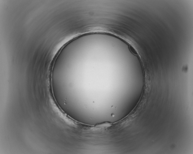 X0000111381142200907241303