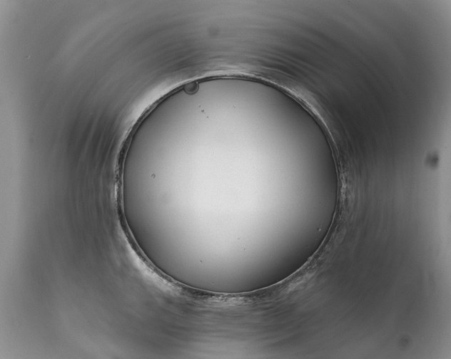 X0000111381143200907241304