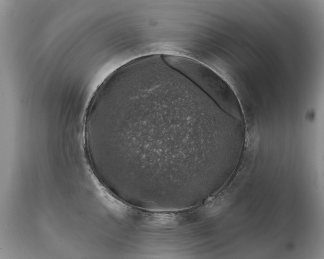 X0000111381144200907241304