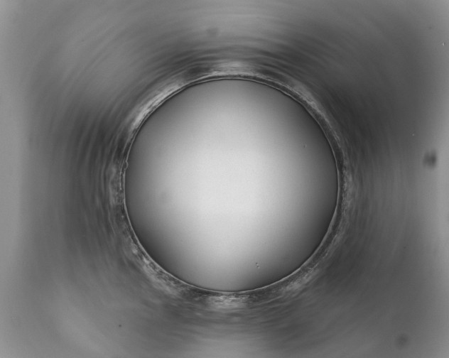 X0000111381145200907241304