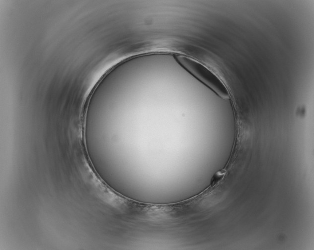 X0000111381148200907241304