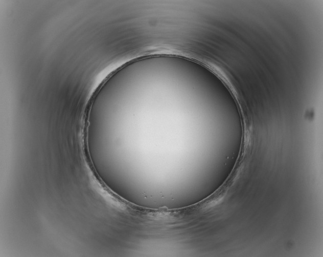 X0000111381149200907241304