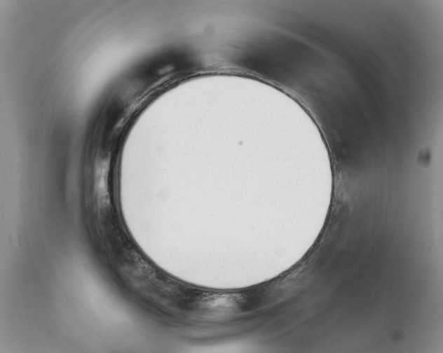 X0000111381150200907241304