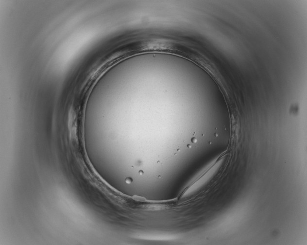 X0000111381151200907241304