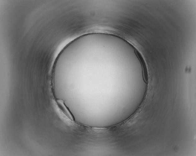 X0000111381152200907241304