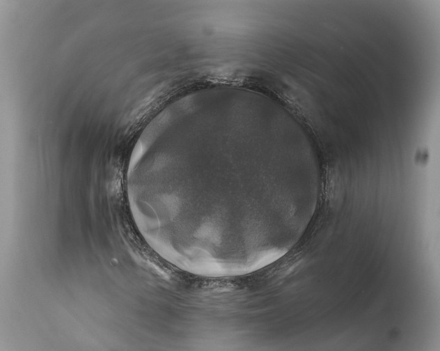 X0000111381154200907241303