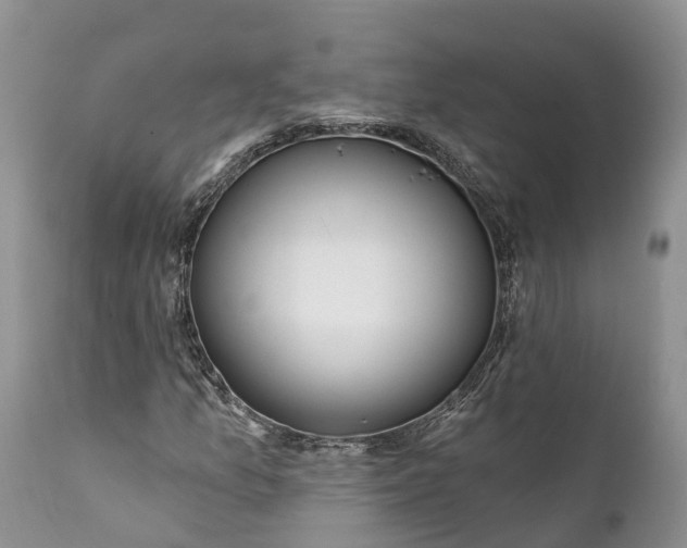 X0000111381157200907241303