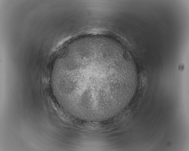 X0000111381158200907241303