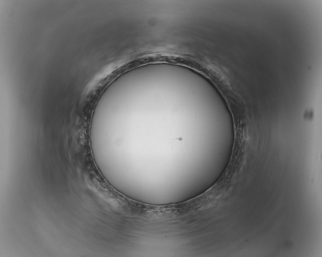 X0000111381159200907241303