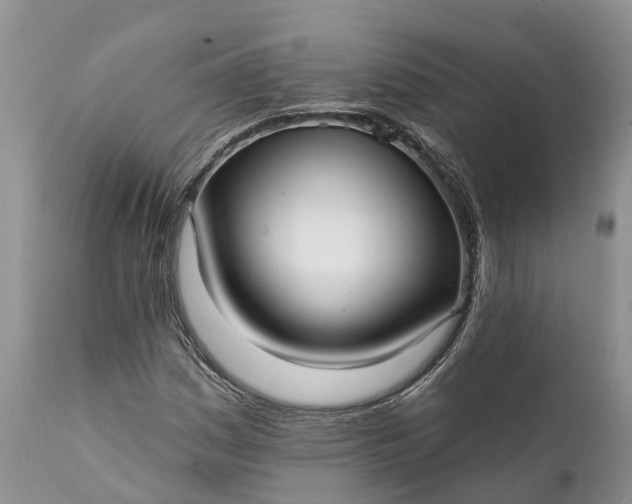 X0000111381161200907241303