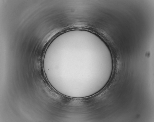 X0000111381162200907241303