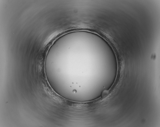 X0000111381163200907241303