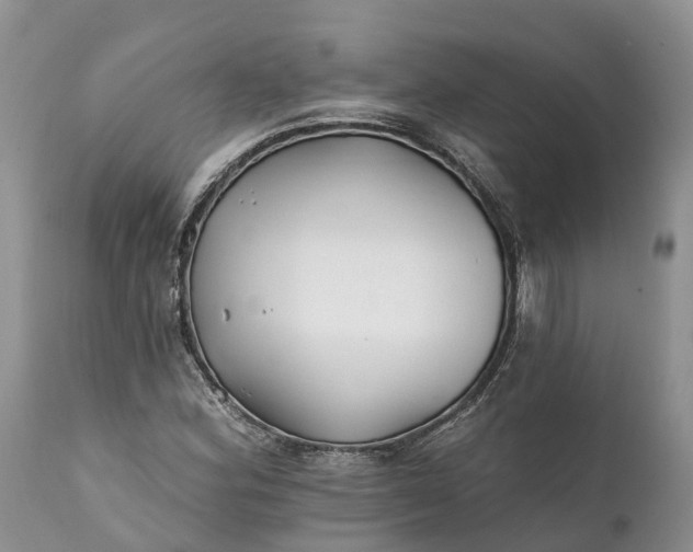 X0000111381164200907241303