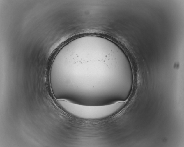 X0000111381165200907241303