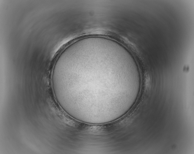 X0000111381166200907241303