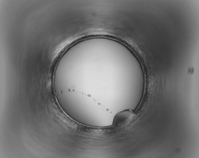 X0000111381167200907241303