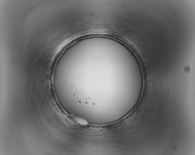 X0000111381168200907241303